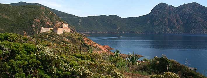 Removals to France - Removals to Corsica- Removals Companies London UK