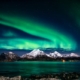 European Removals At Affordable Prices