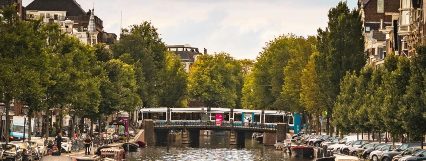 Go Dutch with European Removal Experts